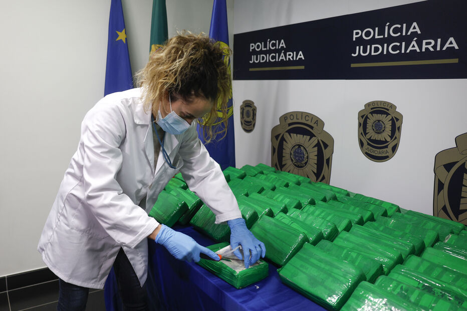 Imagem 54106729.jpg (24164050) (Milenium)