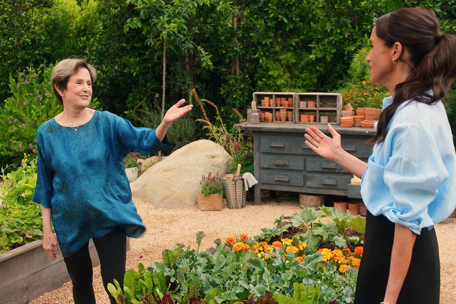 Imagem 54645615.jpg (24218267) (Milenium)