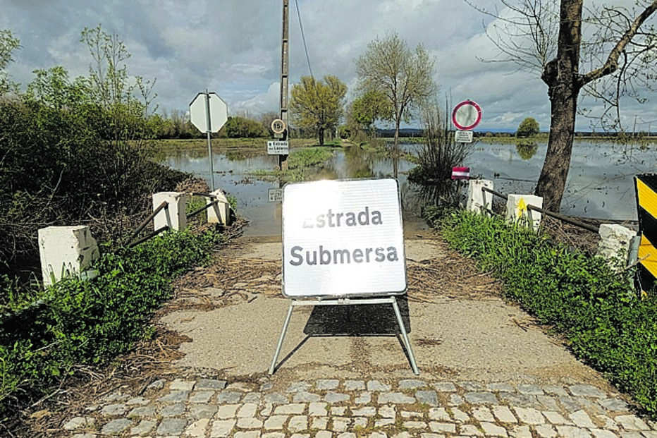 Imagem 1742133133030.JPG (24298014) (Milenium)