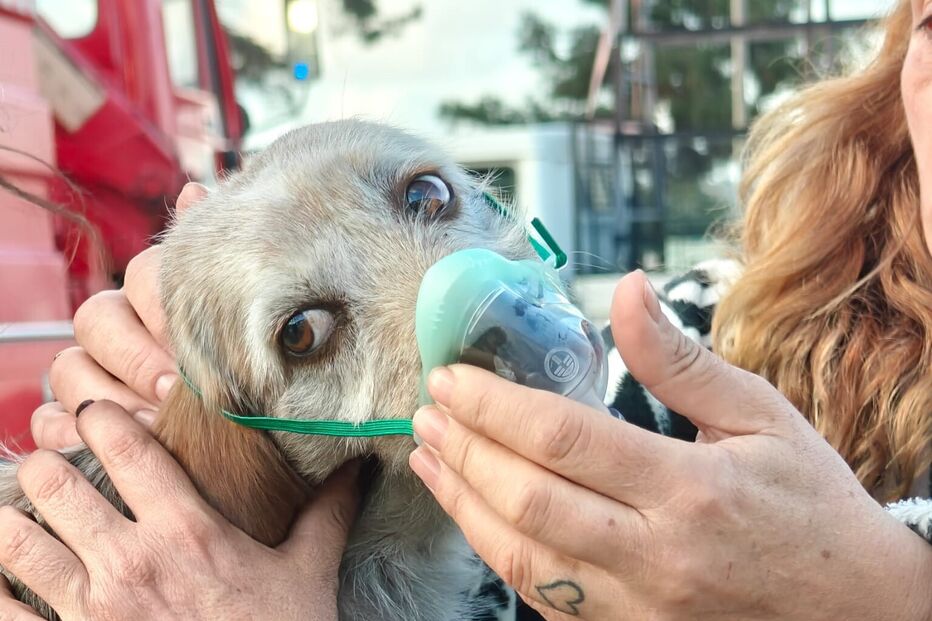 Incêndio deflagra em oficina na Moita