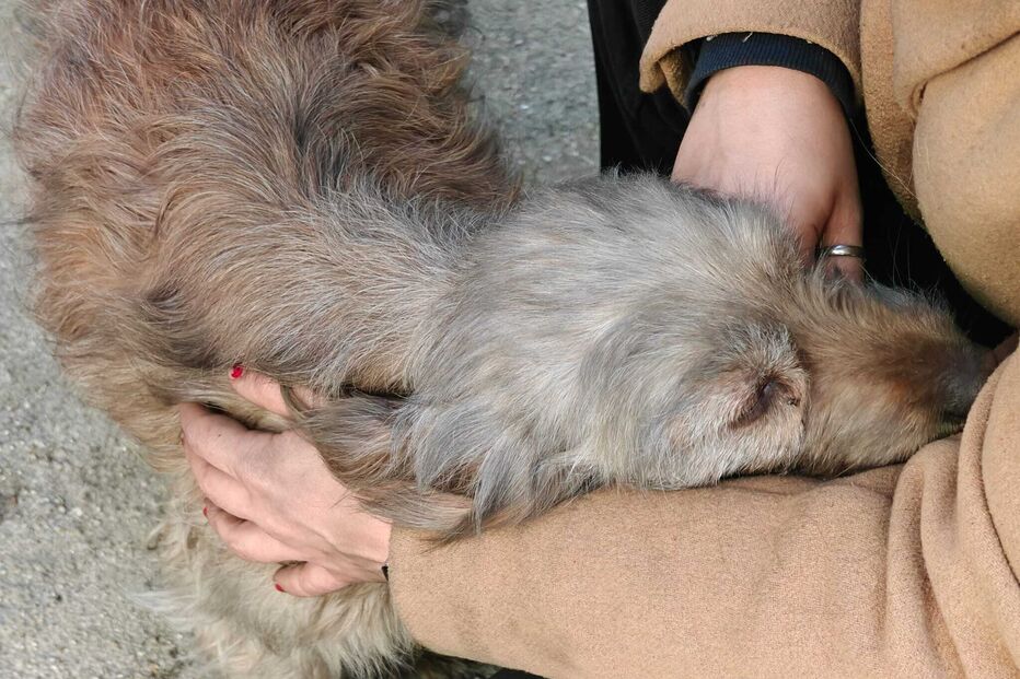 Incêndio deflagra em oficina na Moita
