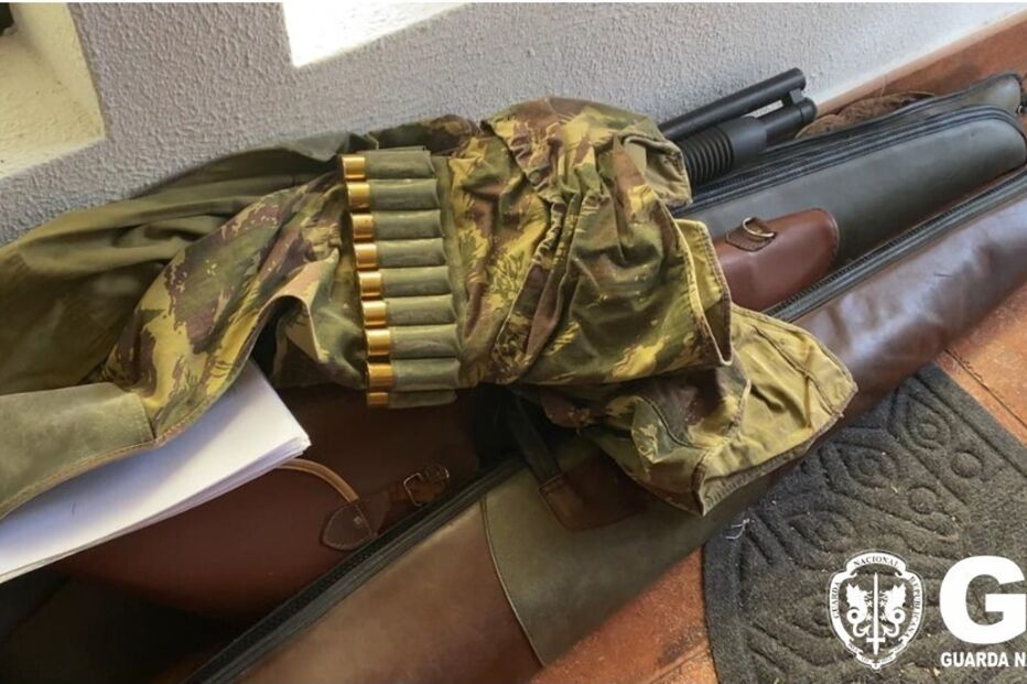 Apreensões na operação 'Dignitas'