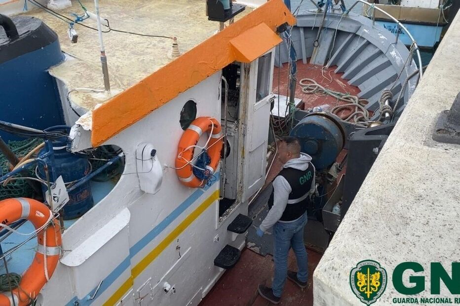 Apreensões na operação 'Dignitas'