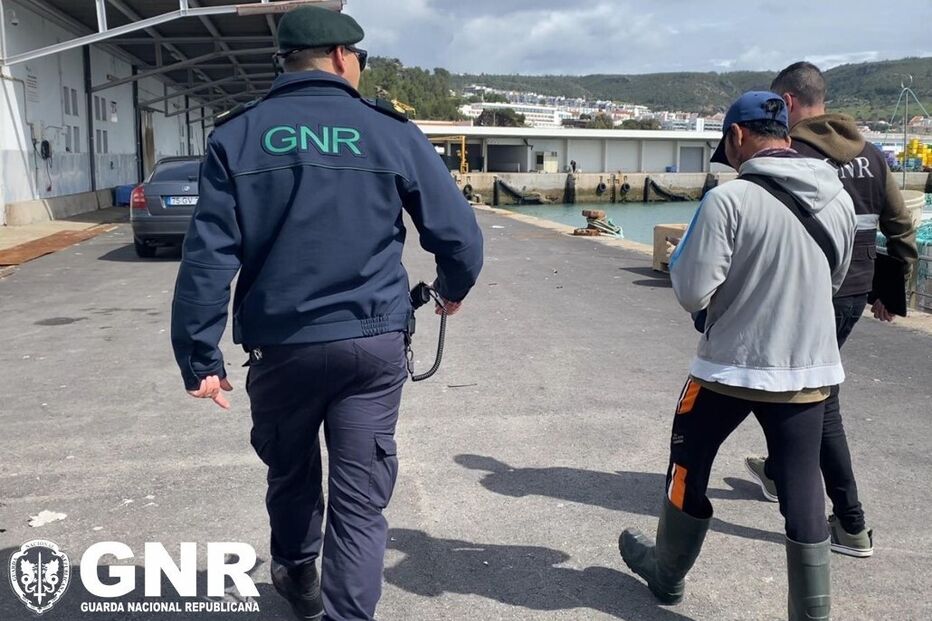 Apreensões na operação 'Dignitas'