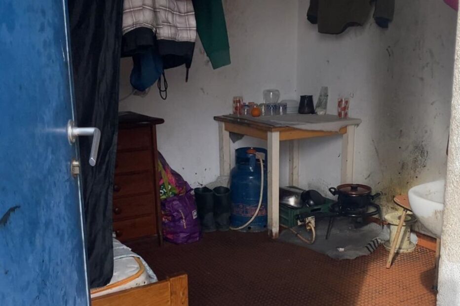 Apreensões na operação 'Dignitas'