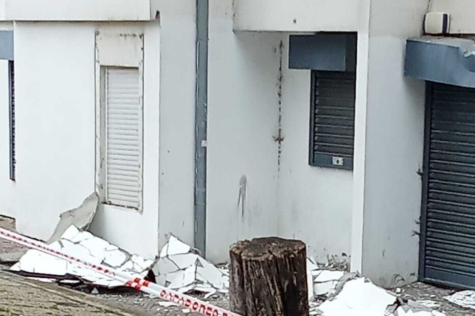 WhatsApp Image 2025-03-19 at 12.54.06.jpeg