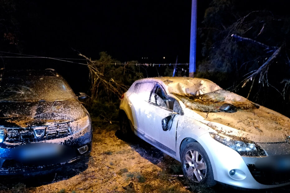 Árvore cai e atinge três carros na rua dos Cedros, em Coimbra