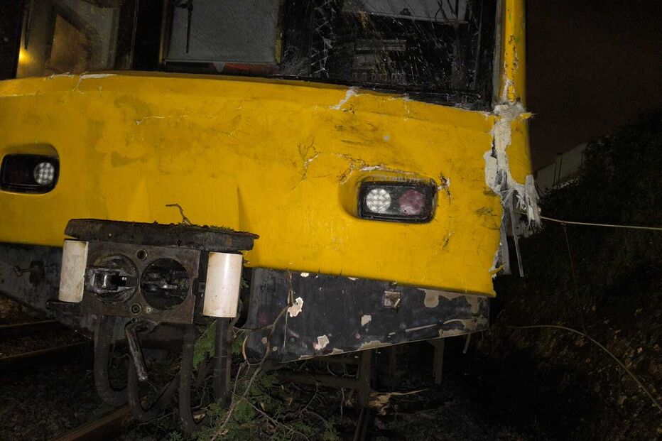 Comboio da Linha de Cascais atingido por árvore