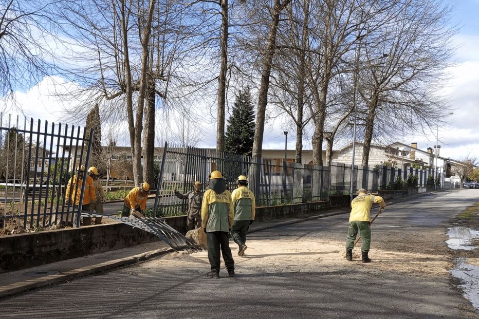 Árvores caem em recintos de escolas no Marco Canaveses