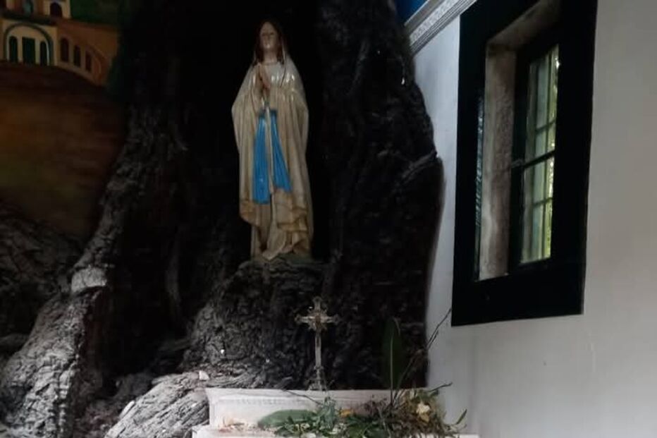 Árvore destrói telhado de capela em Penafiel