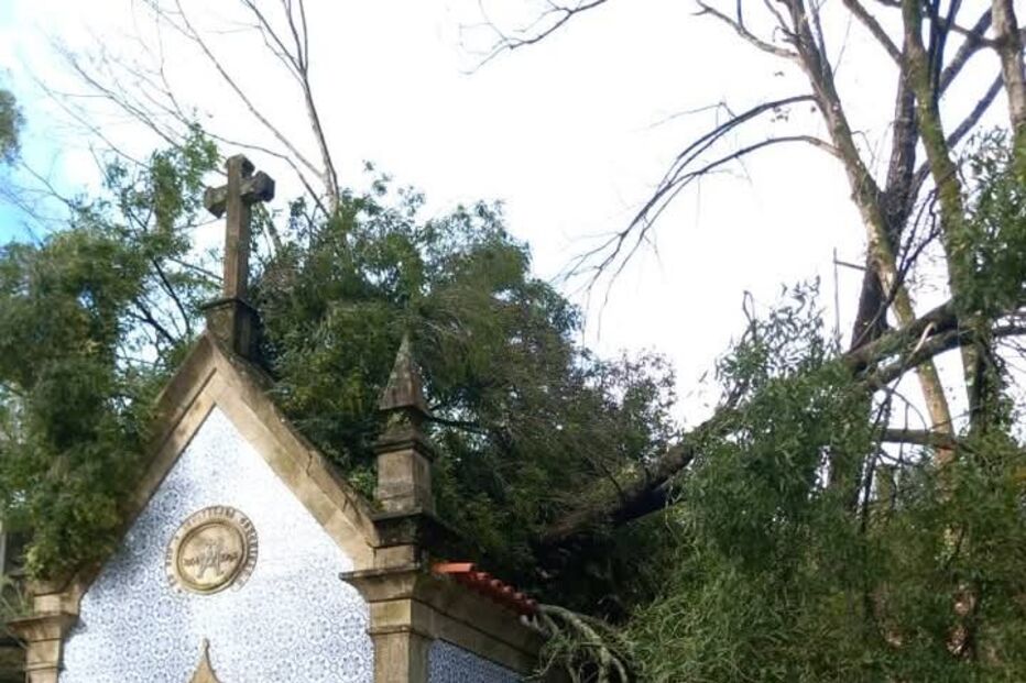 Árvore destrói telhado de capela em Penafiel