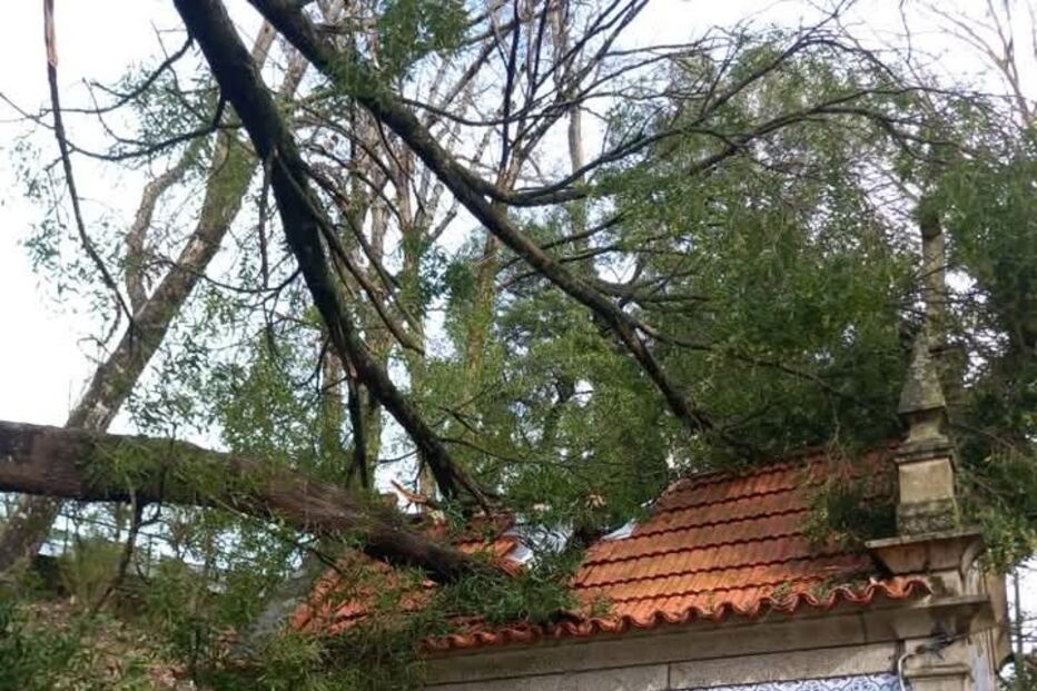 Árvore destrói telhado de capela em Penafiel