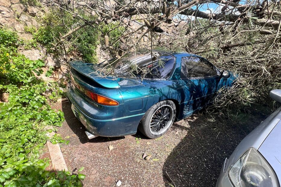 Árvores derrubadas pelo mau tempo caem em cima de carros em Cascais