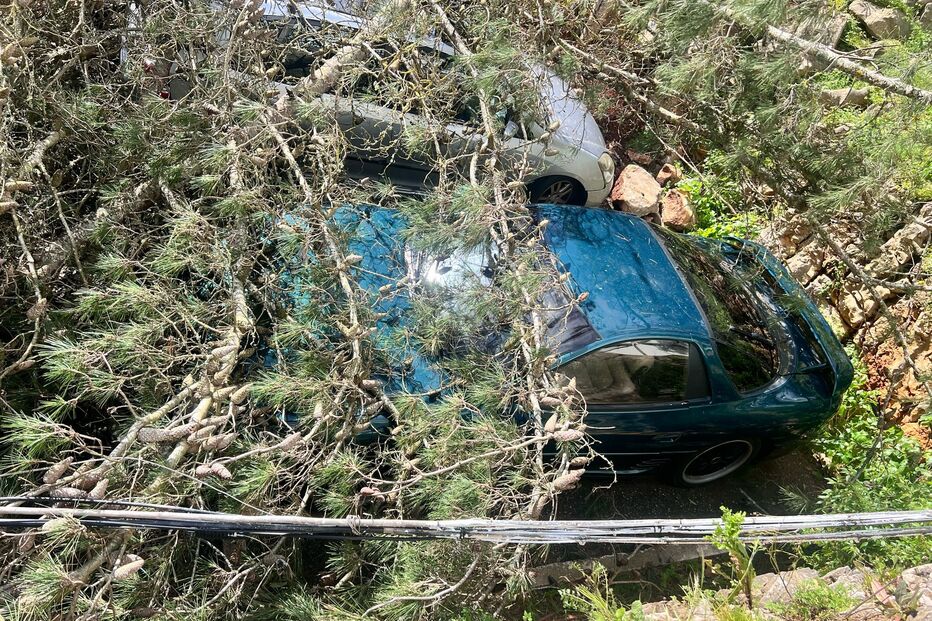 Árvores derrubadas pelo mau tempo caem em cima de carros em Cascais