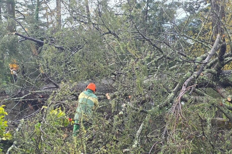 WhatsApp Image 2025-03-20 at 12.26.47 (1).jpeg