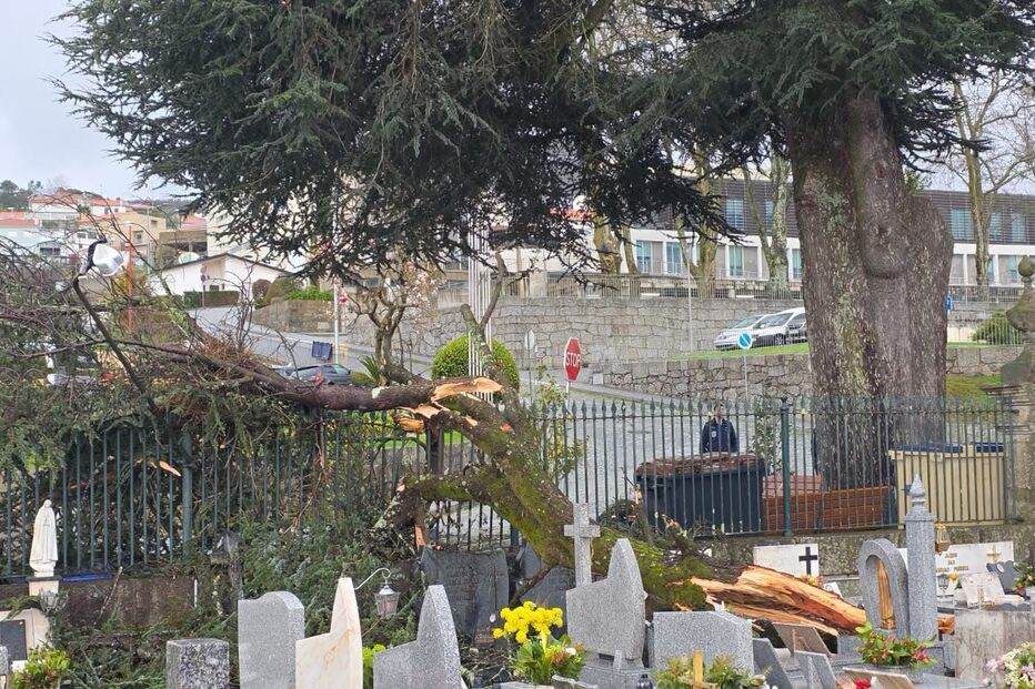 WhatsApp Image 2025-03-20 at 12.26.45.jpeg