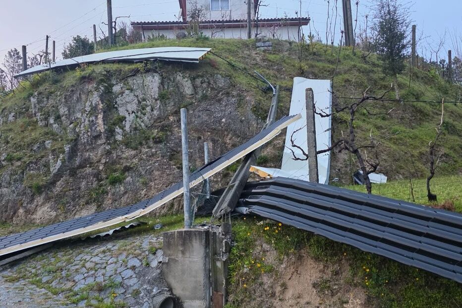 WhatsApp Image 2025-03-20 at 12.26.46.jpeg