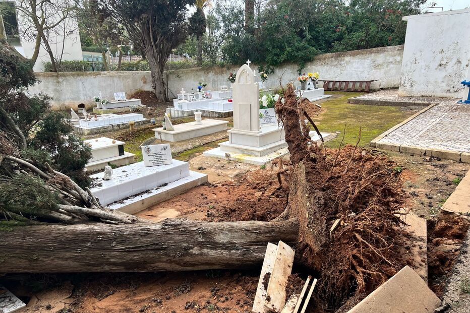 Árvore cai sobre campas no cemitério de Ferragudo
