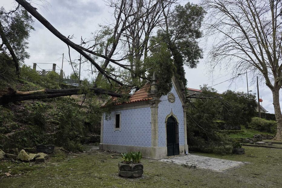 Árvore destrói telhado de capela em Penafiel