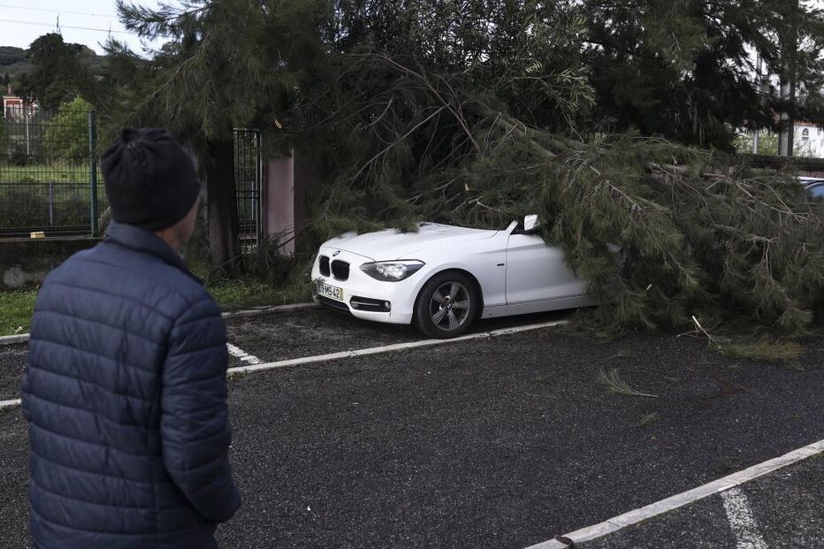 Queda de árvore danifica carro em Lisboa