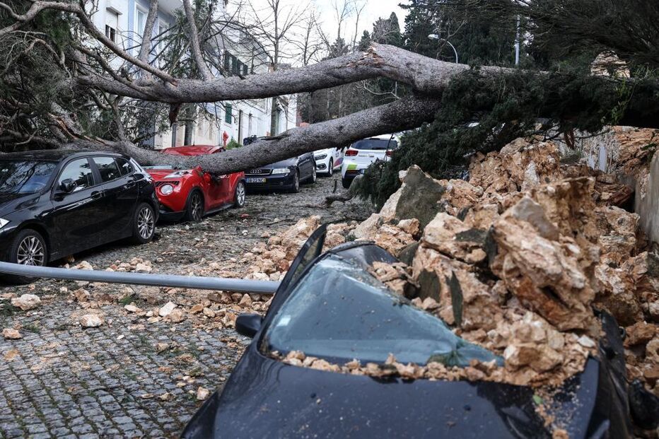 Uma árvore caída e um muro derrubado causaram danos em veículos estacionados na Tapada das Necessidades, em Lisboa,