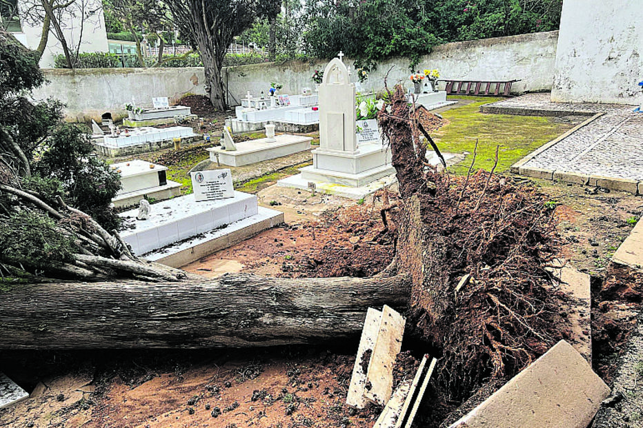 Lagoa. Cinco campas do cemitério de Ferragudo ficaram danificadas após a queda de uma árvore de grande porte