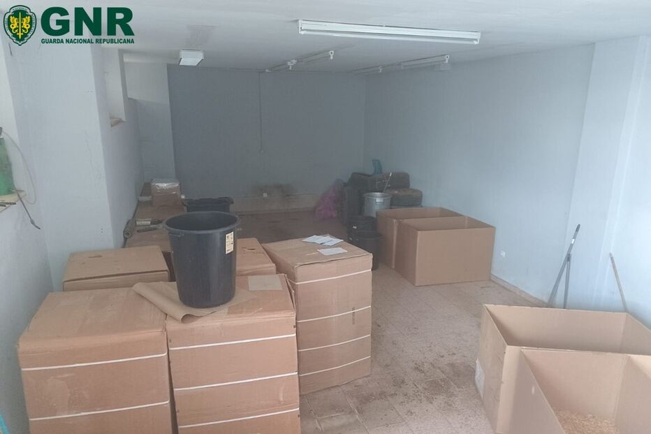 Desmantelada rede internacional de contrabando de tabaco