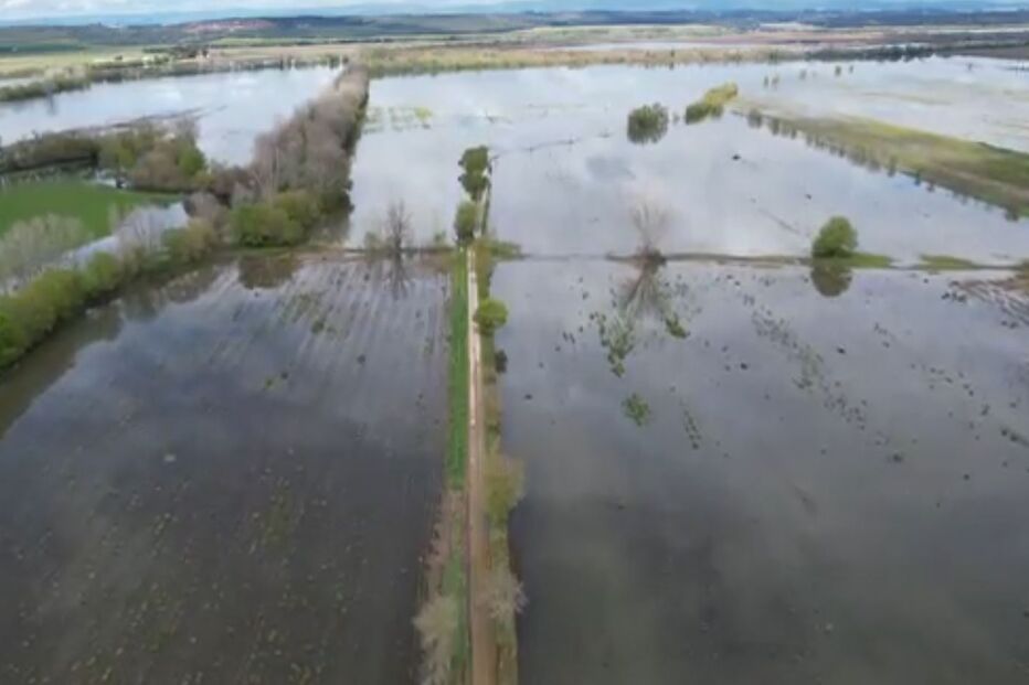 Proteção Civil alerta para elevado risco de galgamento das margens do rio Tejo