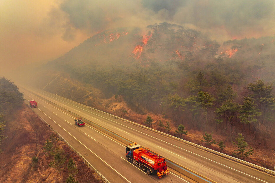 Incêndios na Coreia do Sul