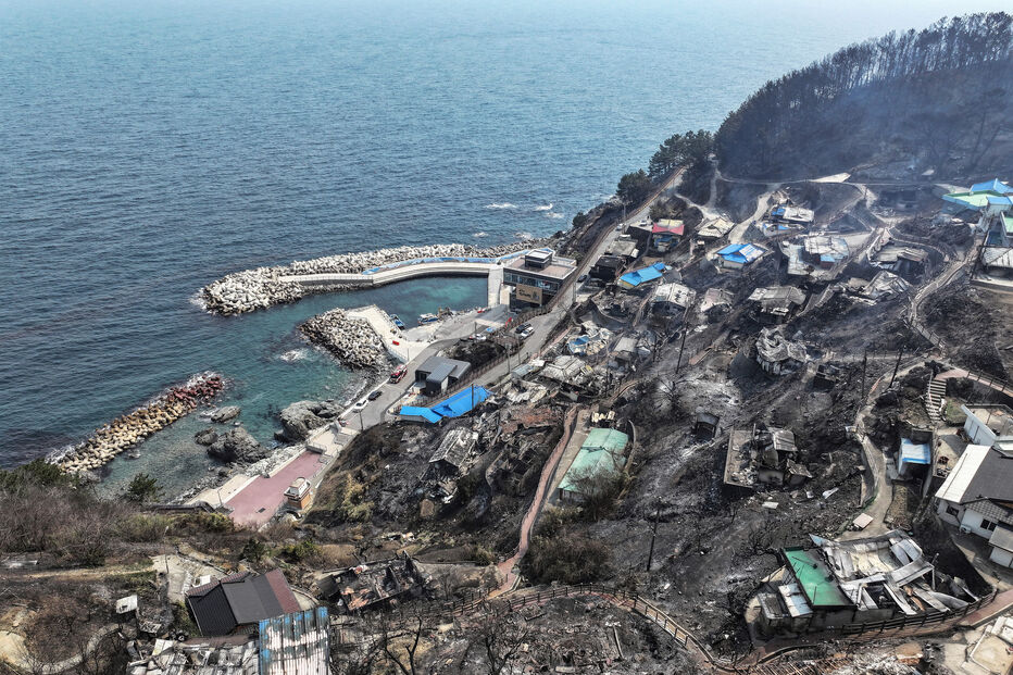 Incêndios na Coreia do Sul
