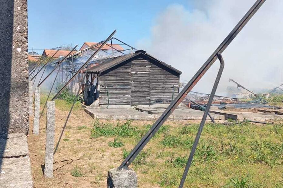 WhatsApp Image 2025-03-31 at 14.58.49 (2).jpeg