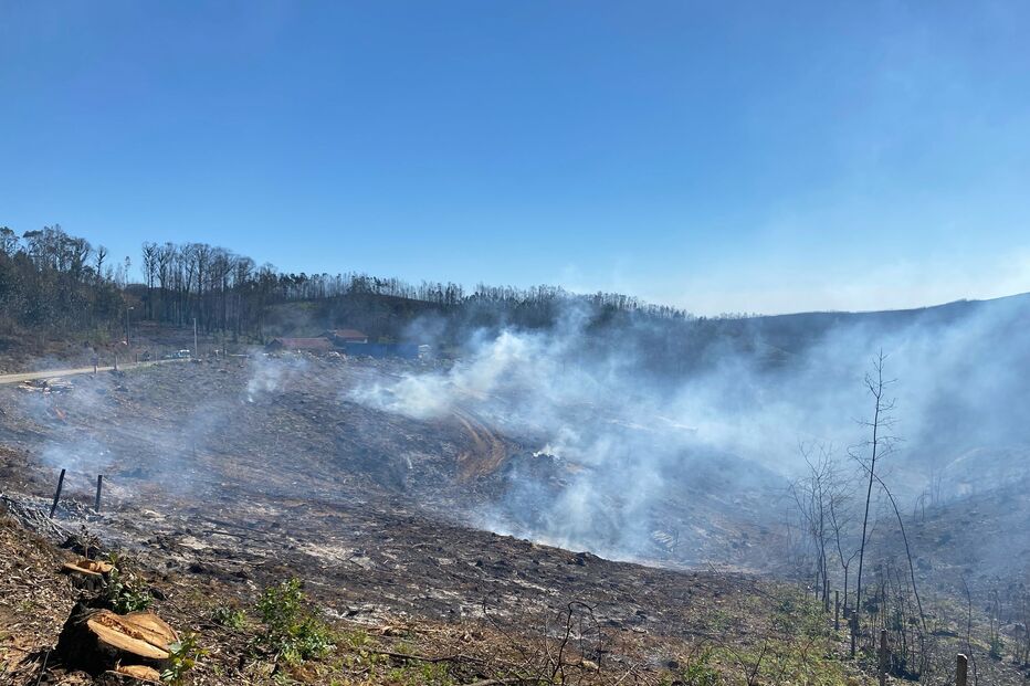 Homem sofre queimaduras no rosto em incêndio florestal em Sever do Vouga