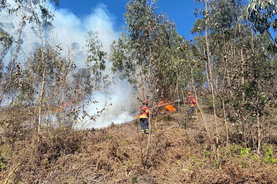 Homem sofre queimaduras no rosto em incêndio florestal em Sever do Vouga