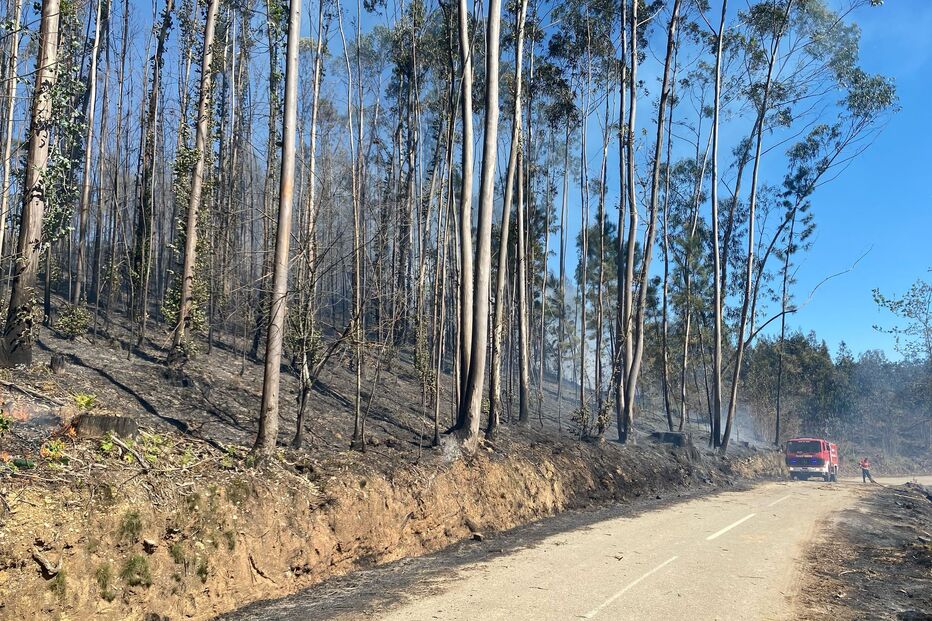 Homem sofre queimaduras no rosto em incêndio florestal em Sever do Vouga