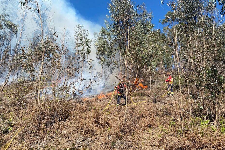Homem sofre queimaduras no rosto em incêndio florestal em Sever do Vouga