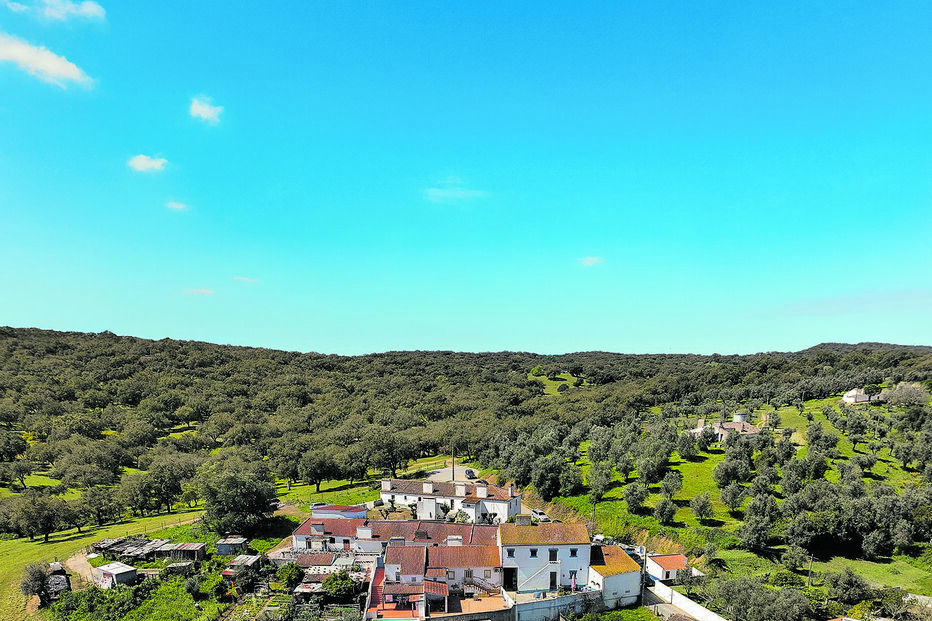 “Estão contra porque sim”: Subida do preço do ouro torna prospeção mais apetecível