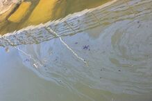 11396c1c-a63e-4a1c-b8d5-1225392a72ba.jfif