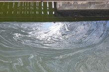 6f5e1039-a3e4-4c83-b0dd-064a87b18124.jfif