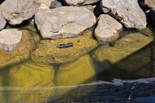 61e4e956-9ad6-4f48-9722-3610b37f83c2.jfif