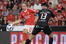 Schjelderup em ação