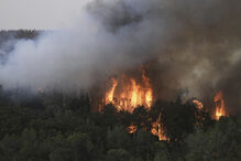 Incêndio florestal perto de Jerusalém