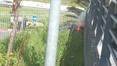 Adeptos do Benfica deflagram tochas junto ao Estádio da Luz e provocam fogo em palmeiras