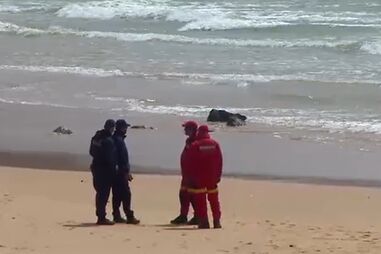 Retomadas buscas por praticante de parapente desaparecido em Sagres