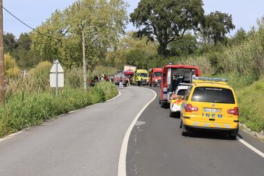Despiste de autocarro no Cartaxo