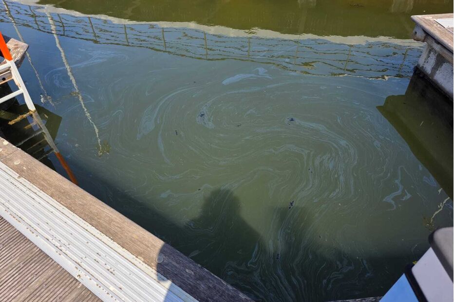 2c0be28b-b7ba-4556-a2f7-df58306385b7.jfif