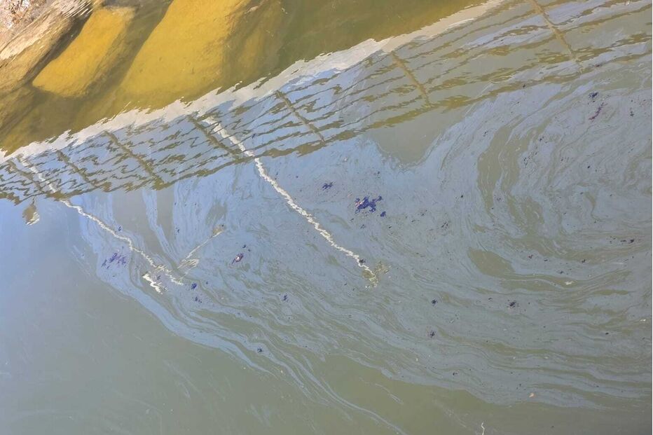 11396c1c-a63e-4a1c-b8d5-1225392a72ba.jfif