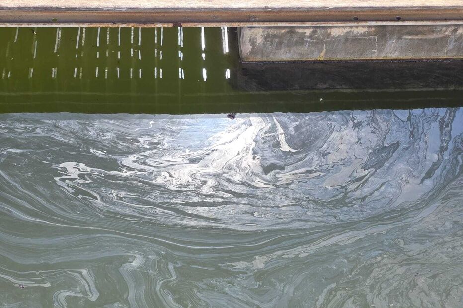 6f5e1039-a3e4-4c83-b0dd-064a87b18124.jfif