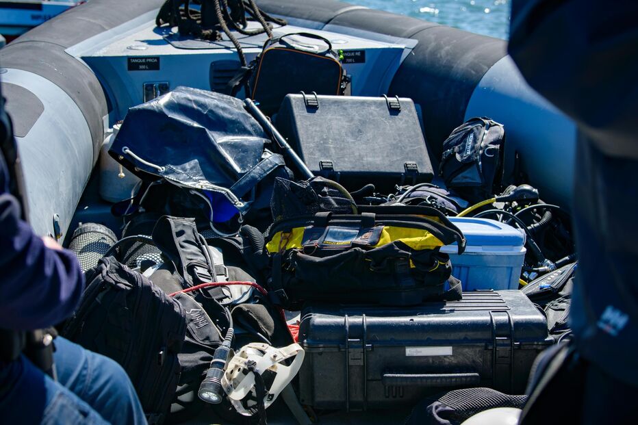 Operação levada a cabo na ria de Aveiro