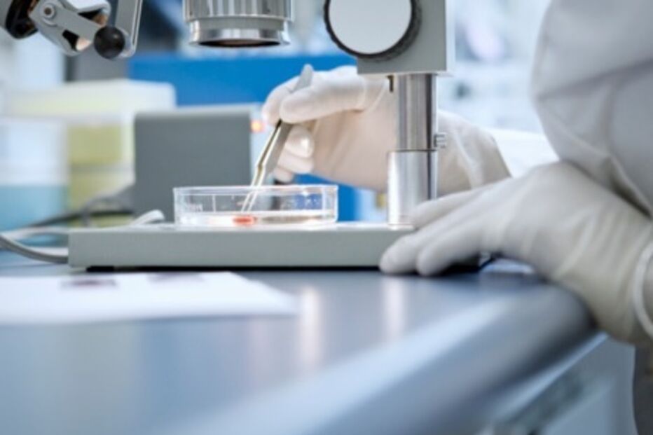 2019-04-10_17_09_15 parkinson.jpg