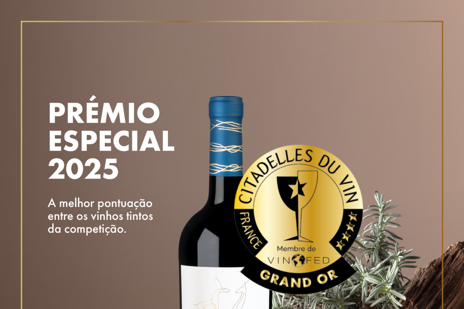 2025-04-16_13_10_57 cef-premios-CitadellesVin25-premioespecial copy.png